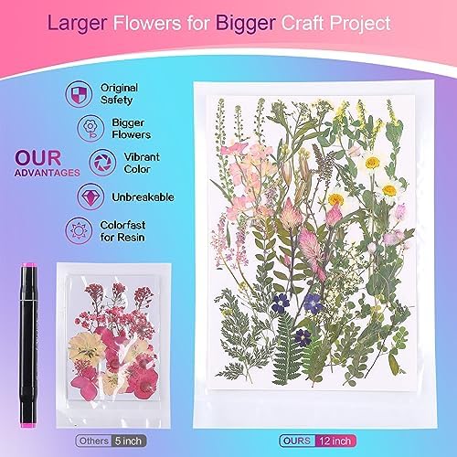 Large Dried Pressed Flowers for Art Crafts, Real Dry Natural Flower Leaf Fruit Bulk for Resin Mold, Cake Decor, Glass Frame (Spring Garden)