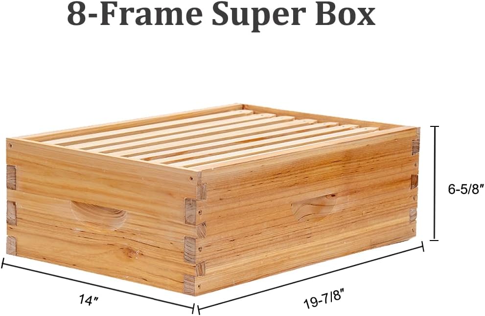BeeCastle 8 Frame Langstroth Bee Hive Coated with Beeswax Includes Beehive Frames and Waxed Foundations (2 Deep Boxes &