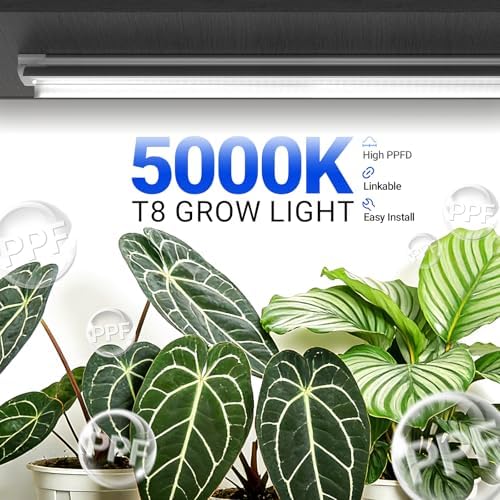 Barrina T8 Grow Light for Indoor Plant, Full Spectrum, 4FT 5000K, 4 Packs