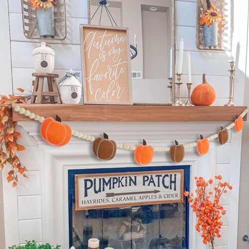 DAZONGE Fall Decor Felt Pumpkin Beads Garland for Fall Home Decorations