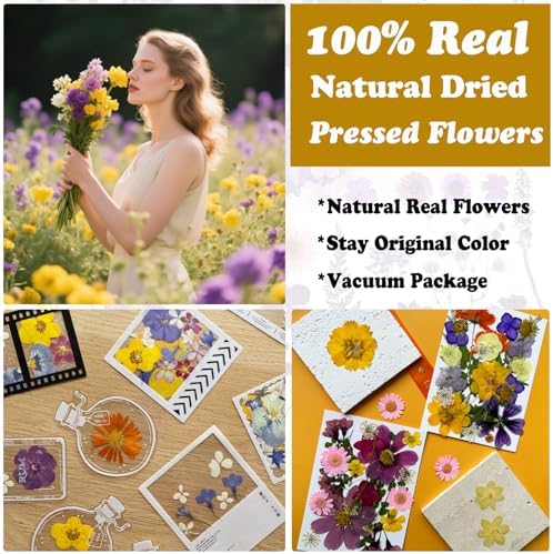 46Pcs Pressed Dried Flowers Real Natural Leave for DIY Resin Molds Candle Jewelry Nail Crafts