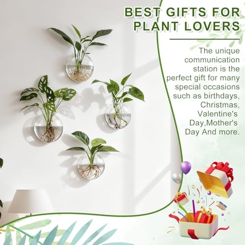 Wall Propagation Planters, 4 Pack Oblate Hanging Plant Holder Vase