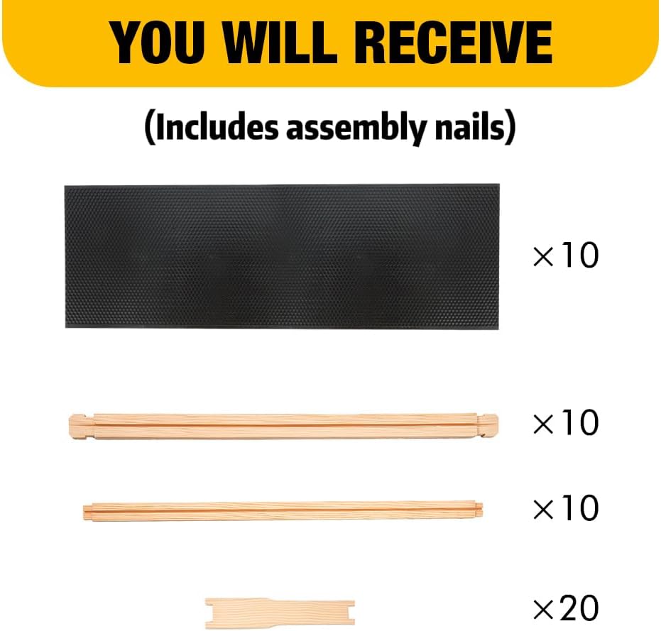 Honey Lake Medium Beehive Frames and Foudations Kit,10 Pack Super Bee Frames with Beeswax Coated Plastic Foundations