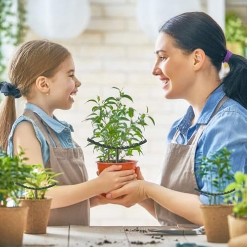 Mwellewm Plant Stakes Small Plant Supports for Indoor Plants Holder Sticks