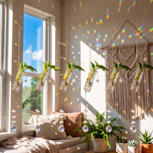 6 Pcs Plant Propagation Station Colorful Crystal Suncatcher, Handmade Boho Rooting Vase, Hanging Window Plant Propagator Stations Suncatcher with Chain Pendant Ornament Balls (Flower)
