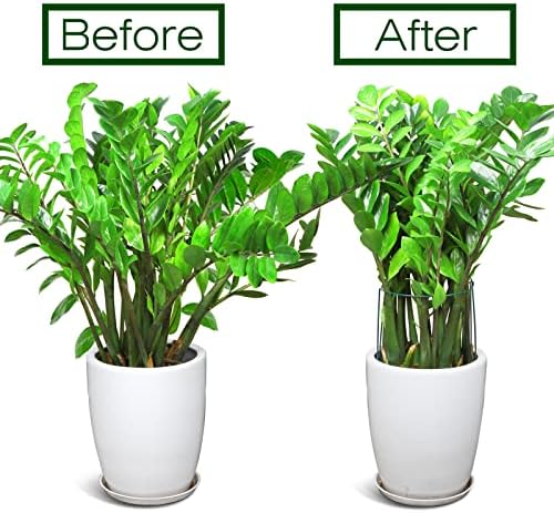 LEOBRO Plant Support Stakes, 4 PCS Plant Stakes, Plant Support, Peony Cages and Supports, Garden Stakes, Plant Stakes for Indoor Outdoor Plants, Hydrangea Support Cage, 10" W x 15.8" H