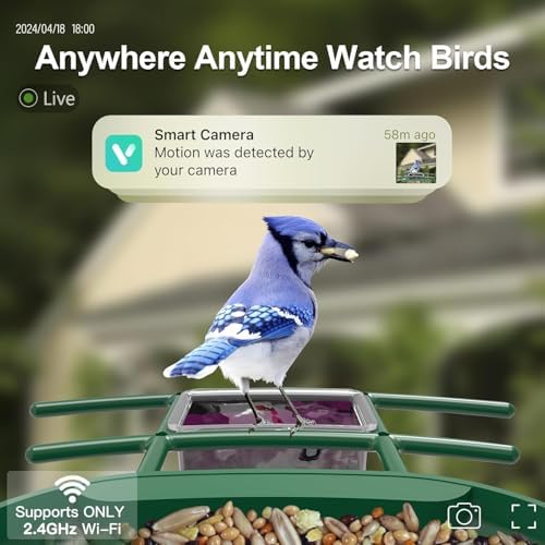 Smart Bird Feeder with Camera Solar Powered, 2K Live Stream for Backyard