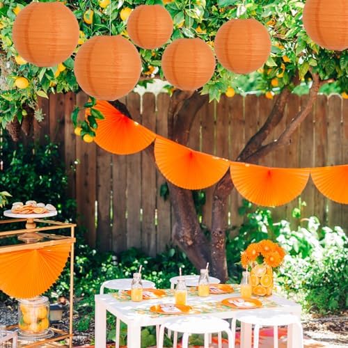 BEISHIDA 10 Inch Orange Paper Lanterns 6Packs Hanging Round Chinese Lantern