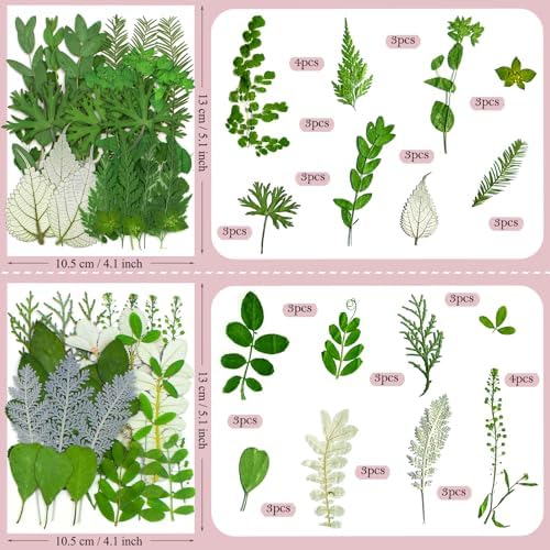100 Pcs Dried Pressed Flowers Leaves for Resin Molds, Real Natural Bulk Dry Wildflowers Perfect for Epoxy, DIY Crafts, Soap Candles Jewelry Making, and Home Decor