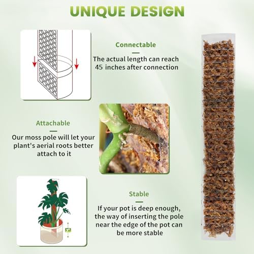 EOX Plastic Moss Pole for Monstera and Climbing Plants, 24-Inch, 2-Pack