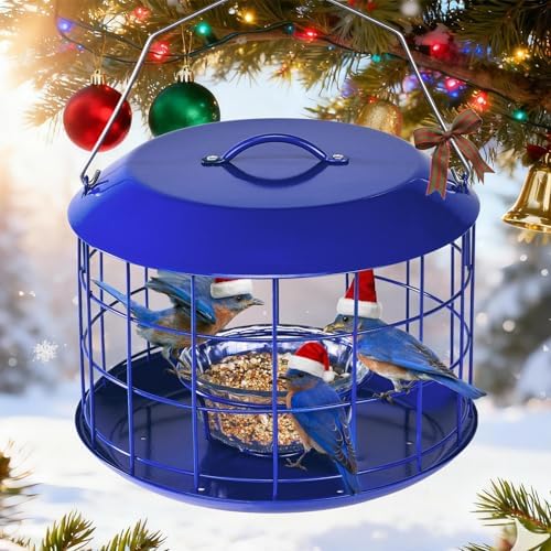 Kingsyard Bluebird Feeders for Outdoors Hanging