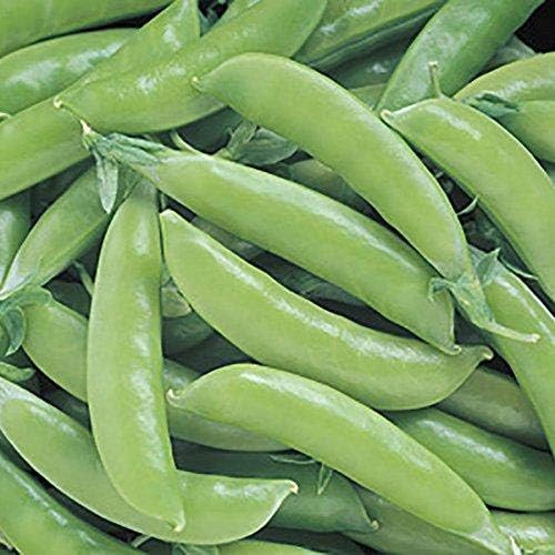 Park Seed Stir Fry Vegetable Seed Collection – Non-GMO Garden Kit with Broccoli, Snap Peas, Carrots, Sweet Peppers &