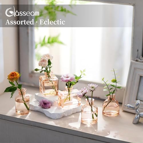 Glasseam Mini Bud Vases Set of 10 Champagne Glass Vases for Centerpieces