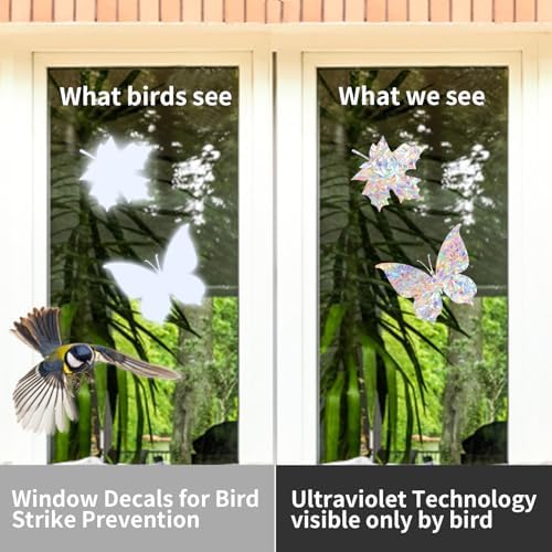 YUOROS 30 Anti Collision Window Decals for Bird Strike Prevention