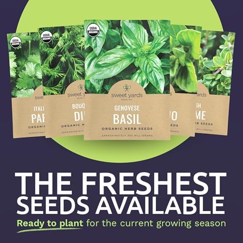 Organic Herb Seeds Variety Pack - 5 Individual Packs - 2026 Season - Basil, Oregano, Dill, Thyme & Parsley. for Indoor & Outdoor Planting (Non-GMO, Certified Organic)