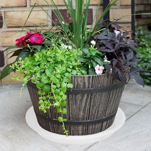 2 Pack of 19 inch Clear Plant Saucer, Large Plant Tray, Heavy Sturdy Plant Drainage Tray for Indoors, Bird Bath Bowls, Sturdy 18 inch Plastic Pot Tray for Planter