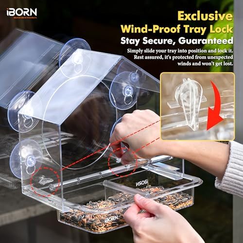 Window Bird Feeder, Wind-Proof Tray Lock, Chew-Resistant PC, Clear 1 PK