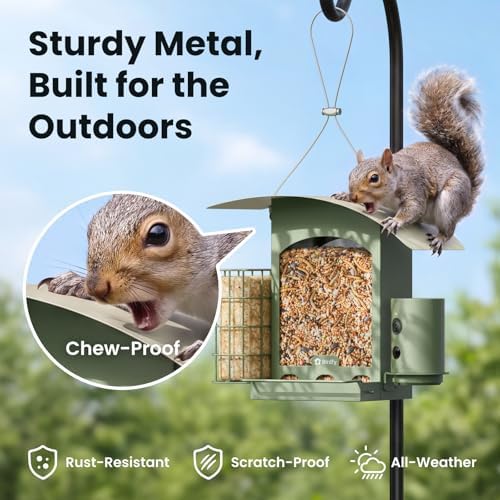 Birdfy Smart Bird Feeder with Camera Solar Powered, Gift for Bird Lovers
