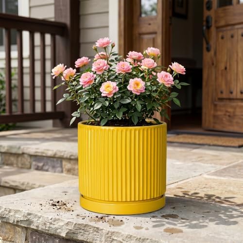 Ceramic Pots for Plants, 10 Inch Plant Pots with Tray, Yellow