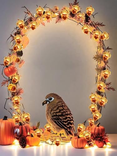 EXF Fall Decor Acorn Fairy Lights Battery Operated with Remote 10FT 30 LED