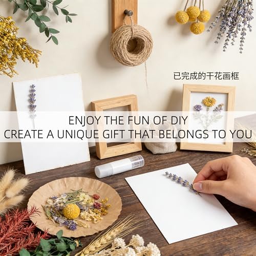 DIY Natural Dried Flower Set, 12 Kinds Bulk Dried Flowers Including Eucalyptus,Lavender,Wheat, Bunny Tails,Billy Ball,for Handmade,Home/Birthday/Seasonal Decor