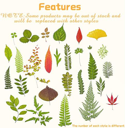 Nuanchu 99 Pieces Bulk Assorted Pressed Leaves for Crafts, 5 Pack, Classic