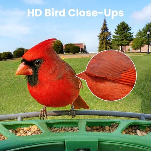 Birdfy 2 Smart Bird Feeder with Camera, 1080P HD for Outdoor Bird Watching