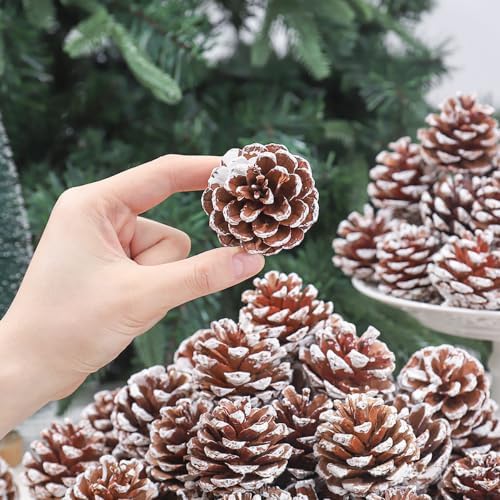 9 Pcs Christmas Tree Decorations Natural Pine Cones Ornament (1.2"-1.6")