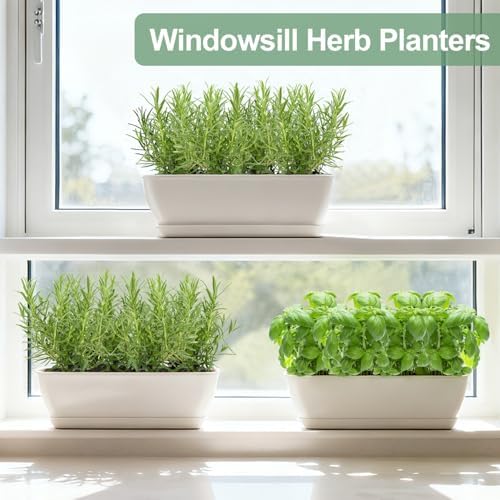 Oliz 4-Piece White Rectangular Window Sill Planters with Drainage Holes and Trays (11 Inches) for Basil, Orchids, and Succulents Modern Herb Garden Planters Suitable for Indoor/Outdoor Plants