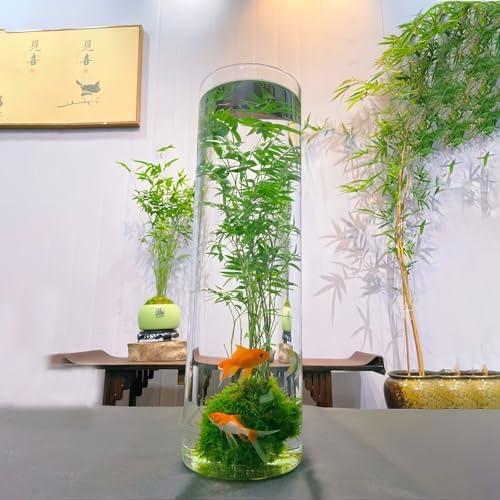 Extra Large Acrylic Cylinder Clear Vase Shatterproof Plastic Vases