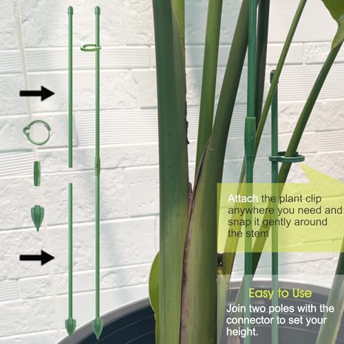 RIFNY Plant Stakes for Indoor Plants, 14 Inch Plant Support Stakes, 6 PCS
