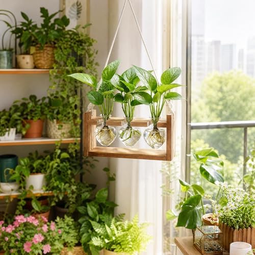 Plant Propagation Station, Heart Test Tube Vases with Hook
