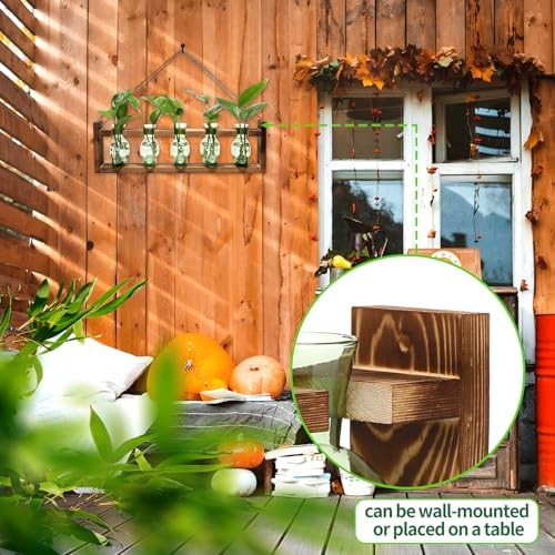 Plant Terrarium Propagation Stations Halloween Skull Planter Vase Skulls