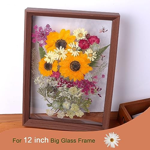 12“ Large Fall Dried Pressed Flowers for Art Crafts, Real Dry Natural Flower Leaf Fruit Bulk for Resin Mold, Cake Decor, Glass Frame (Autumn Sunflower)