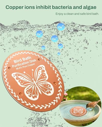 OICEME Bird Bath Purification Disk Pure Copper Outside Winter Solar Power Birdbath Wild Hummingbird Feeder Pedestal Fountain Cleaner Cage Dispenser Bowl Ground Safe Garden Gift Bird Butterfly