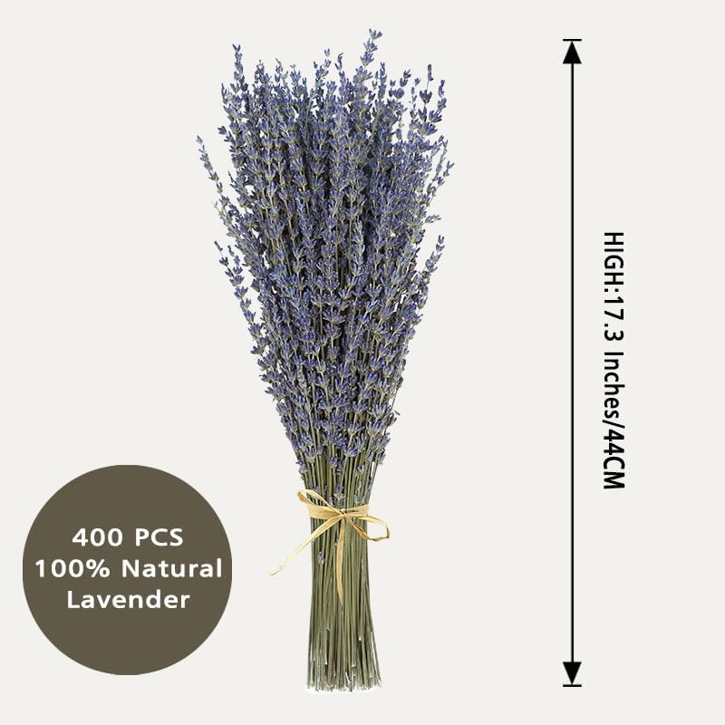 Dried Lavender 4 Bunches 100% Fresh Natural Purple Bouquet Flowers for Bathroom Photo Props Crafts (200g/7oz), 15-17" for Shower Weeding Vase Decor, Aromatherapy Home Fragrance(400-440 Stems Total)