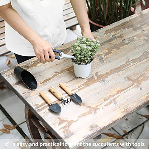 5 Pcs Succulent Tools, Mini Garden Tools, Small Indoor Plant Repotting Set
