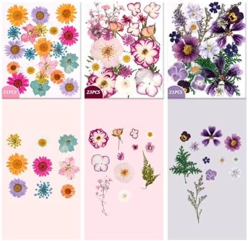 9 Packs of 200 Pressed Dried Flowers and Leaves for DIY Crafts