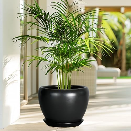 Ceramicfor Ceramic Planter Pot - 8 Inch Plant Pot with Drainage Hole and Saucer Round Planter for Indoor Plants Modern Outdoor Flower Pot for House Balcony Black