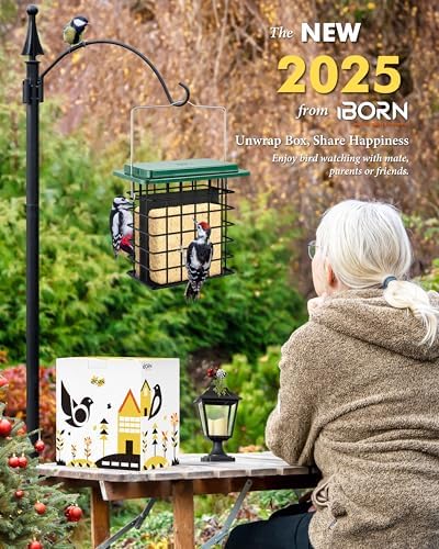 iBorn Double Suet Feeder- Metal Roof Bird Feeder with Taller Grid for Woodpeckers, Suet Cake Cage Bird Feeder for Outdoors Hanging,Easy-Clean & Refill,Green (2 Pack)