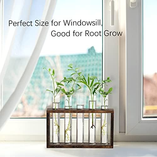 XXXFLOWER 5Test Tube Plant Propagation Station Plant Terrarium Wooden Stand