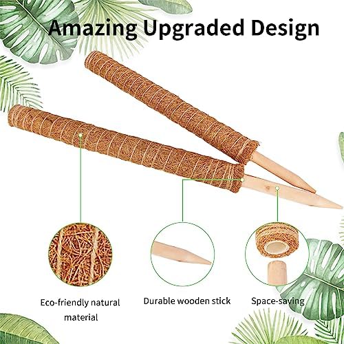 JJGoo Moss Pole for Plants Monstera, 2 Pack 23.6 inch Plant Support Pole, Extendable Coir Totem Pole for Potted Plants Pothos,Train Indoor Climbing Plants to Grow Upwards - Extends to 40.6 Inches