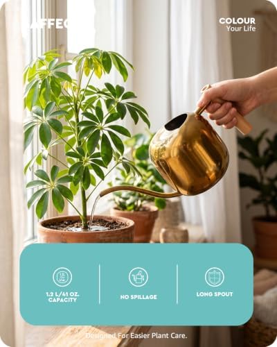 Baffect Watering Can Indoor Plants with Long Spout, 1.2L / 41oz (Glod)