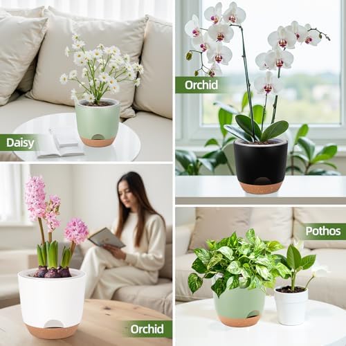 3Packs 7.2 Inch Self Watering Orchid Pots for Indoor Plants,Macetas para Orqudeas,Flower Pots for Indoor Plants with Holes（Black）
