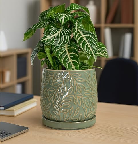 D'vine Dev Embossed Leaves Ceramic Planter, 6 in, Olive, 27-A-X-0