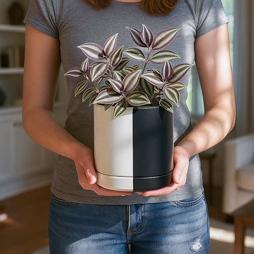 D'vine Dev 6.5 Inch Ceramic Planter Pot, Black White Split, 94-O-C-0