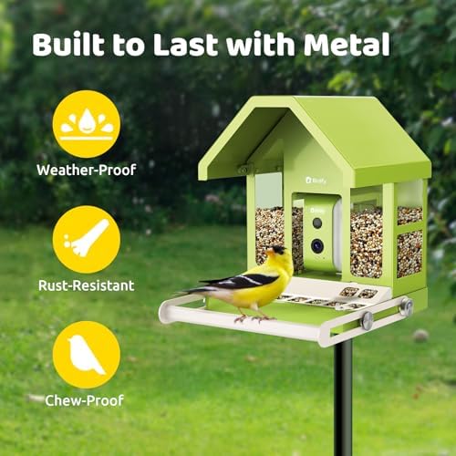 Birdfy Smart Bird Feeder with Camera Solar Powered, Premium Metal Design