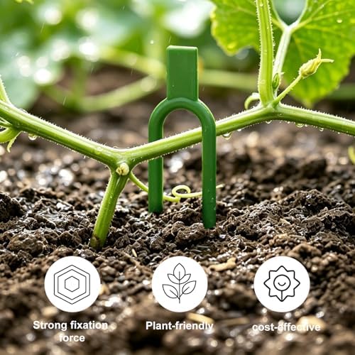 150 Pcs Reusable U-Shaped Plastic Garden pins Serve as Secure Anchor Clips for Plant cuttings, Effectively Supporting Strawberry Runners and Vines to Promote Rooting.
