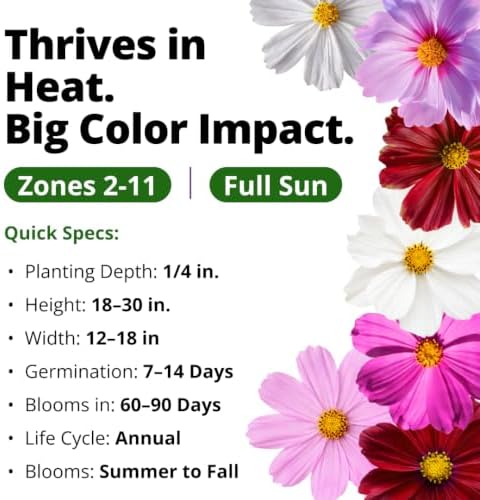 HOME GROWN Sensation Dwarf Mix Cosmos Seeds for Planting, 600 Seeds, Cosmos bipinnatus