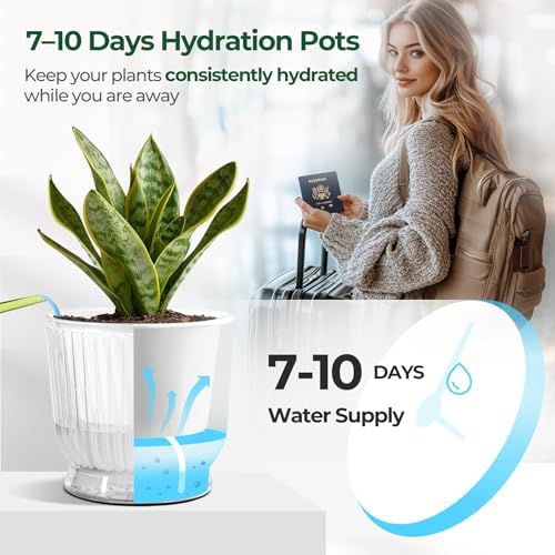 T4U Self Watering Pots for Indoor Plants 6 Inch 4 Pack Planter Clear